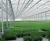 Import uv plastic sheets agricultural greenhouse price from China
