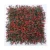 Import uv prrof artificial plant wall artificial grass wall panel 60*40cm 50*50cm from China