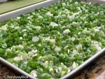 VIETNAM GREEN ONION FROZEN IQF FRESH SCALLION FOR SALE QUICK DELIVERY