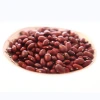 Vigna type dried red kidney beans price