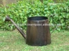 Watering Can Iron
