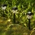 Import Waterproof Solar Garden Lamp Patio Lawn Lamp Outdoor Courtyard Decoration Led Light Floor Lamp Path Automatic Sensor Auto On Off from China