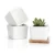 Import White Home Office Decor Mini Succulent Plant Pots With Hole Ceramic Flower Cactus Pots With Wooden Tray from China