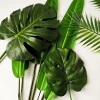 Wholesale artificial artificial plant turtle back leaf leaves Whole plant with anemone leaf Home decoration