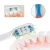 Import Wholesale brush heads for rechargeable sonic toothbrush KT9000 from China