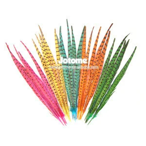 Wholesale Cheap Dyed Pheasant Feather