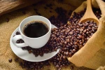 Wholesale Coffee - Vietnamese Freshly Roasted Arabica Coffee Beans - Best quality