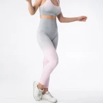 Buy Manufacturer High Waist No Panties Fitness Sports Tight Running Dri Fit  Seamless Leggings For Women Yoga Pants from Shenzhen Leadshow Sports  Fashion Technology Co., Ltd., China