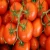 Import Wholesale Fresh Beef Tomatoes, Cherry Tomatoes, Fresh Plum TomatoesNew Harvest from France