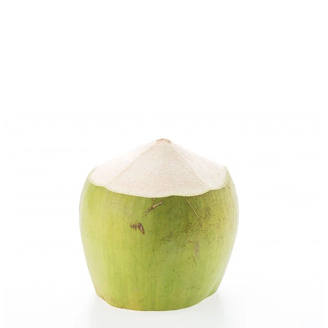 Wholesale Fresh Young Green Coconut with Export Quality