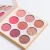 Import Wholesale High Quality 9 Color Pearlescent Matte Waterproof Sunscreen Blush Powder Palette Makeup Private Label from China