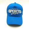 wholesale--Mesh baseball cap/mesh trucker caps / flat bill fashion trucker cap mesh cap