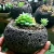 Import wholesale mini red and black lava stone bonsai pots from China