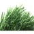 Import Whosale Popular Artificial Pampas Grass For Football Flooring from China