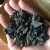Import wild black fungus from China