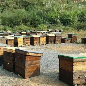 Wuhu free samples yemen sidr honey for sale