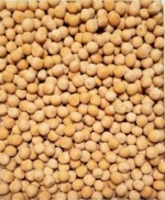 Yellow Peas
