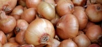 Fresh Onions