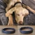 Import Leather Dog Collars from Pakistan