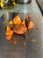 cow gallstone