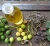 Import Refined Jatropha Oil from Germany