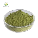100% Pure Natural Orgnaic Green Tea Leaves Extract Powder Instant Matcha Green Tea Powder