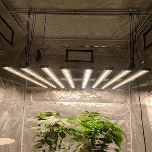 Dimmable lm301b led grow lights full spectrum samsun plant hydroponic 600w 800w 1000w sulight led grow light