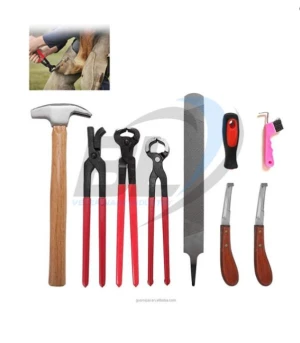 Farrier tools kit