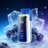 VOZOL Star 20000 Blue Razz Ice: Wholesale Supply from Shenzhen China Factory to United States & Worldwide