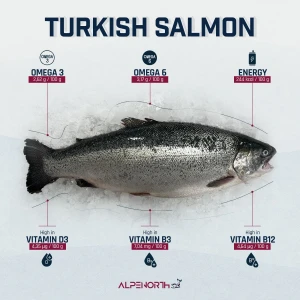 Black Sea Salmon