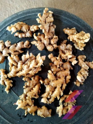 Washed, Cleaned and Air Dried Fresh Ginger