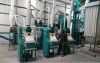 20T/D Automatic Roller Maize Mill