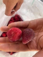 Strawberry Frozen