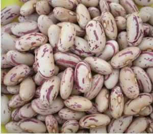 Kidney Beans and Pinto Beans For Sale