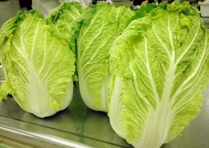 Chines Cabbage