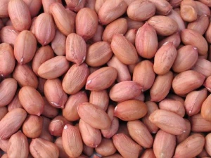 Bold Peanuts