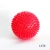 Import Pet bite resistant safe non-toxic training toy ball from China