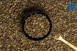 Temanggung Fine Robusta