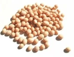 Soy beans for sale