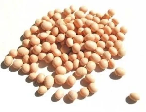 Soy beans for sale