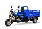 electric tricycle