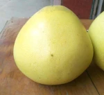 pomelo