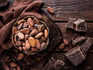 cocoa beans Supplies