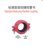 Standard Reducing Flexible Coupling
