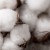 Import Hot sell Bulk Raw Cotton For Sale, Factory price from South Africa