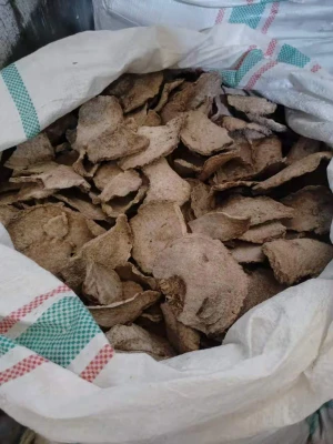 Sun-dried Konjac Chips