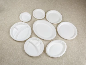 100% Biodegradable Compostable Sugarcane Bagasse Disposable Dish Plate Oval Paper Plate