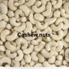 Classic Flavored Dried Cashew Nuts, Directly Sourced from Farm
