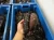 Import Sea cucumber from Cameroon