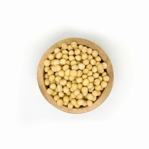 Export-Quality Soybeans – 25kg/50kg/1MT Jumbo Bags Available